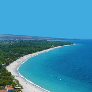Слика за категорија Неи пори и Лептокарија