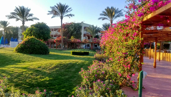 Desert Rose Resort 5*****